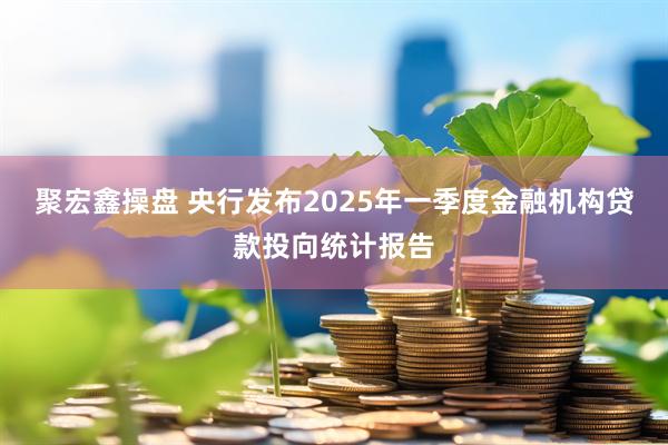 聚宏鑫操盘 央行发布2025年一季度金融机构贷款投向统计报告