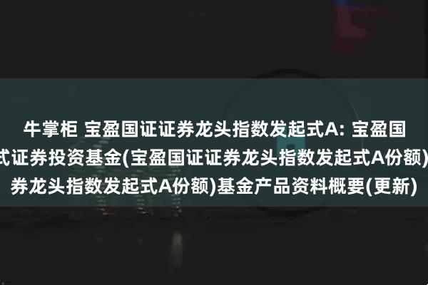 牛掌柜 宝盈国证证券龙头指数发起式A: 宝盈国证证券龙头指数型发起式证券投资基金(宝盈国证证券龙头指数发起式A份额)基金产品资料概要(更新)