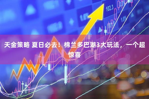 天金策略 夏日必去！棉兰多巴湖3大玩法，一个超惊喜