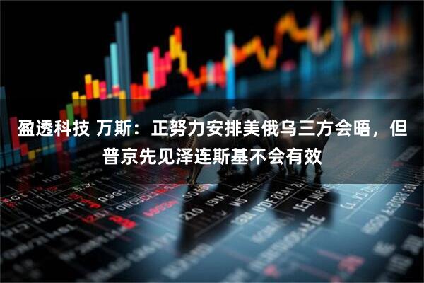 盈透科技 万斯：正努力安排美俄乌三方会晤，但普京先见泽连斯基不会有效
