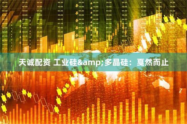 天诚配资 工业硅&多晶硅：戛然而止