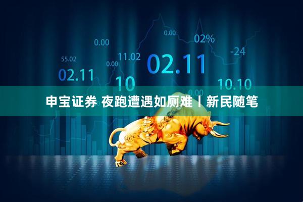 申宝证券 夜跑遭遇如厕难丨新民随笔