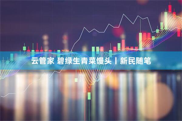 云管家 碧绿生青菜馒头丨新民随笔